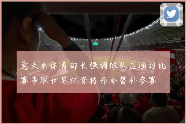 意大利体育部长强调球队应通过比赛争取世界杯资格而非替补参赛